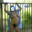 SSBBWdu69