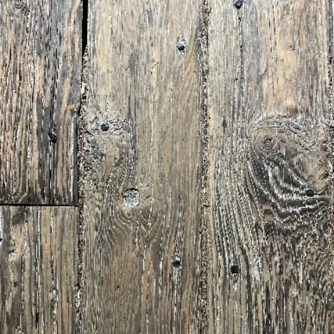 ChicoCurious