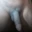 NitinSharma67