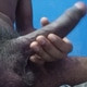 yashraj20x