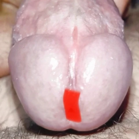 IndianDevil87