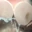 wifes_secret