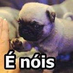 idlenow