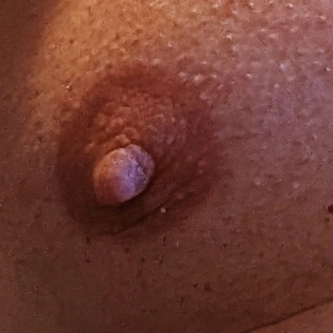 PornofanCB