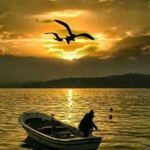 marwanraad904