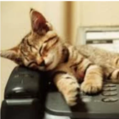 Meowly