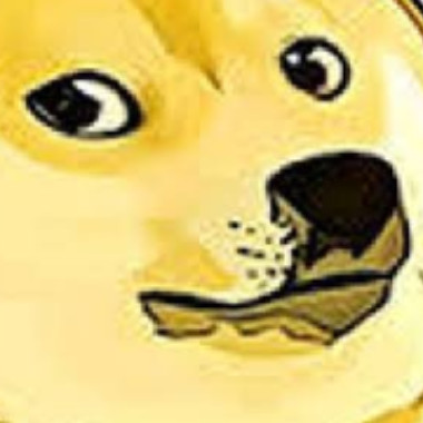 xXDogeXx3
