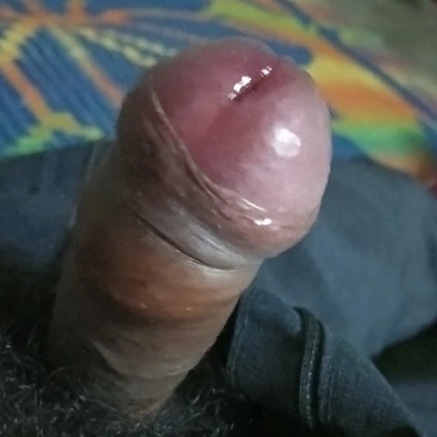 Kpsexdesi