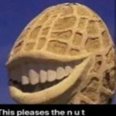 Filkkez