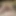 Vanni_hot