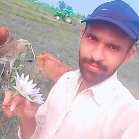 Rahulnamdev03