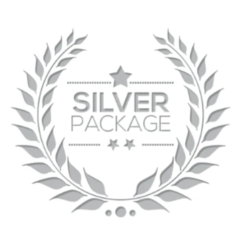 CompleteSilver67