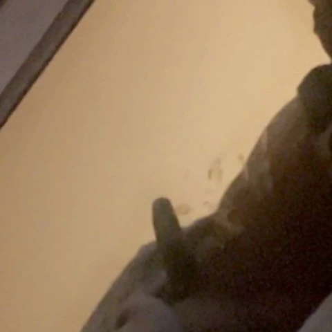 Bigunk400