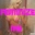 sissyintraining1