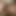 bert_sco