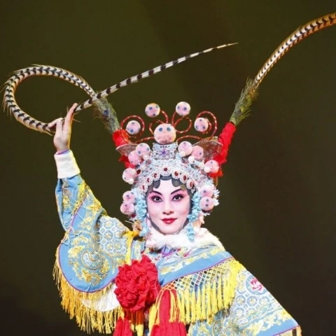 akulahperantau