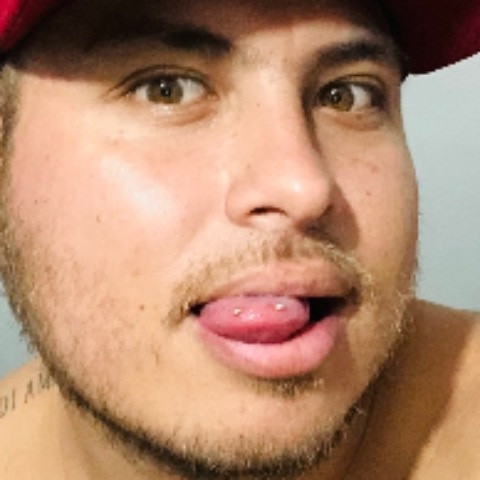 renatogato1010