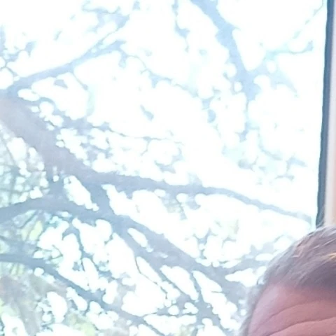 Safiru76
