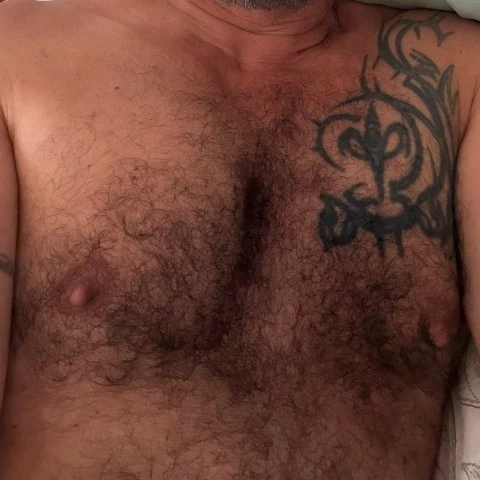 Kilusbear