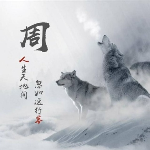 zhoumuyue