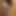 RedditPorn79