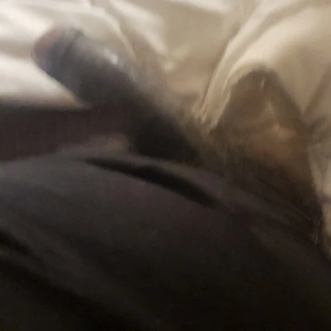 Come_worship_my_cock