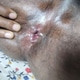 ExteriorLens77