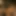 pornhaver