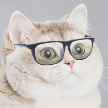 Danthefatcat