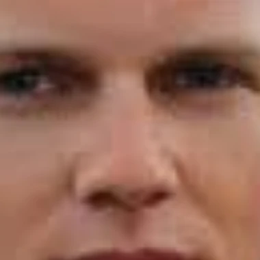 oriontyger