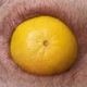 Analgames427