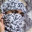 Nadhureddy