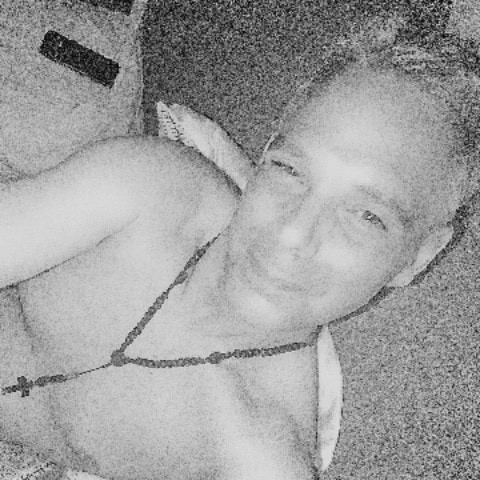 Davi19791