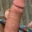 nastonemontana