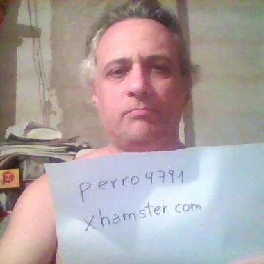 perro4791