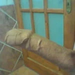 Big_Joe23