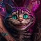 zydrex