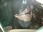 georgerock777
