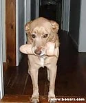 benji_man
