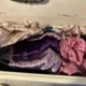Bipanty