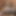 tinydick-nextdoor