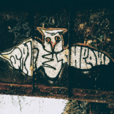 toxixwarrior666