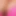 Bigtitstotitfuck