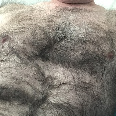 Wanking Bear