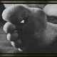 AlphaFootMaster