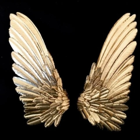 elham_akbaezade