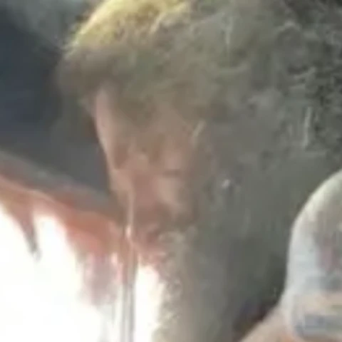 BiConstructionPugLVR