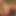 gimp666