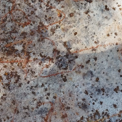 Biswajitbharoti
