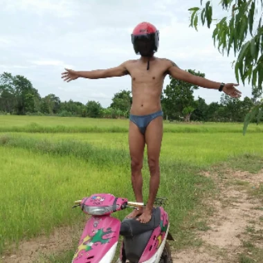Farfarra